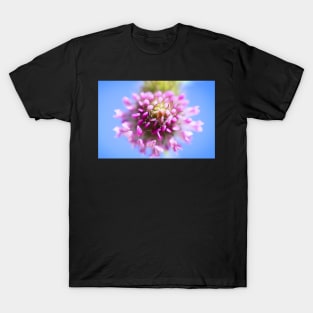 A Red Clover Blossom T-Shirt